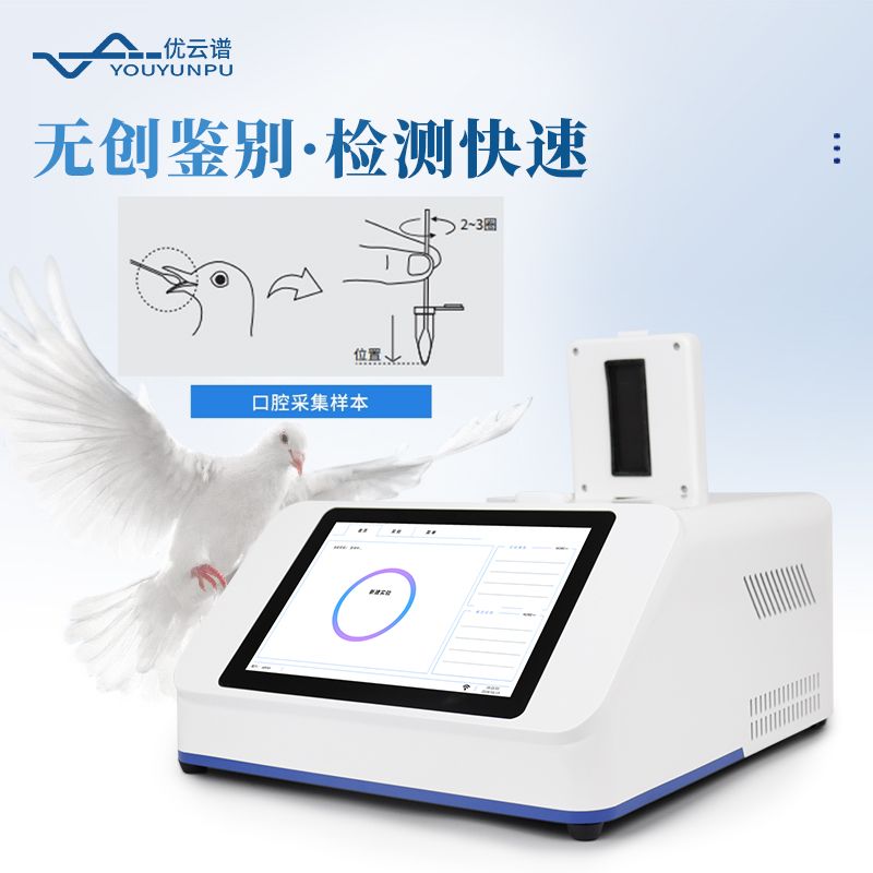 鴿子性別檢測儀